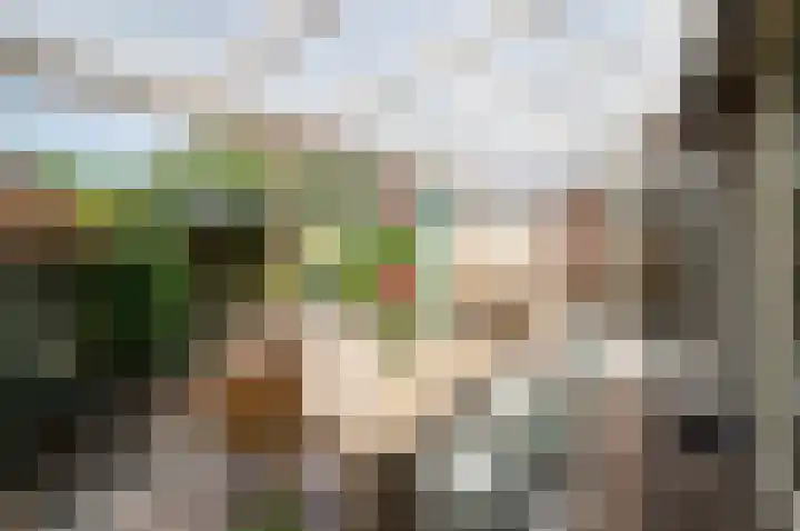 Kamelenspoor 259 Maarssen thumbnail 19