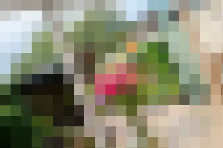 Kamelenspoor 259 Maarssen thumbnail 20