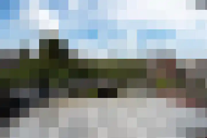 Kamelenspoor 259 Maarssen thumbnail 33