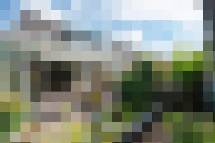 Kamelenspoor 259 Maarssen thumbnail 35