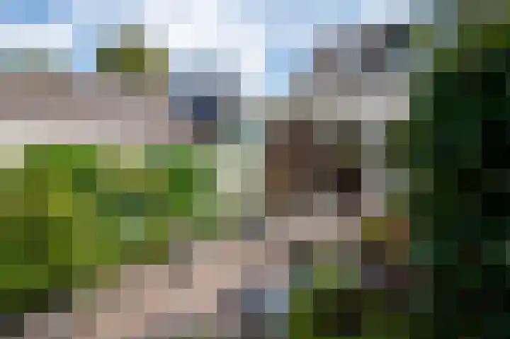 Kamelenspoor 259 Maarssen thumbnail 36