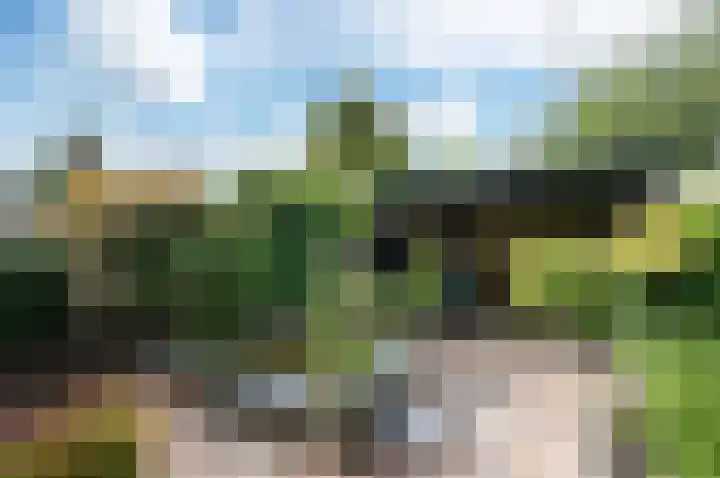 Kamelenspoor 259 Maarssen thumbnail 37