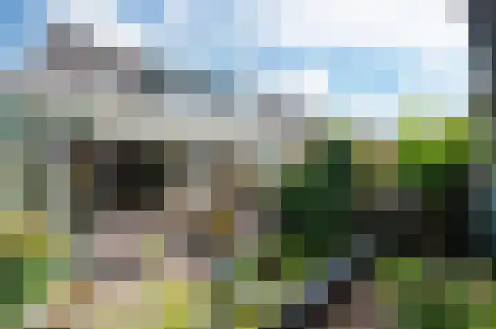 Kamelenspoor 259 Maarssen thumbnail 5