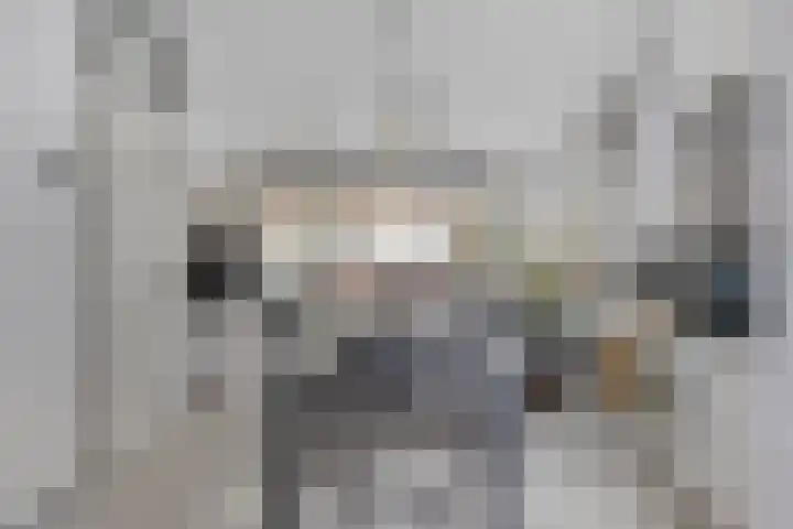 Kamelenspoor 281 Maarssen thumbnail 10