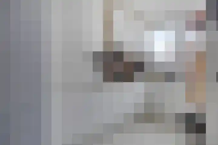 Kamelenspoor 281 Maarssen thumbnail 14