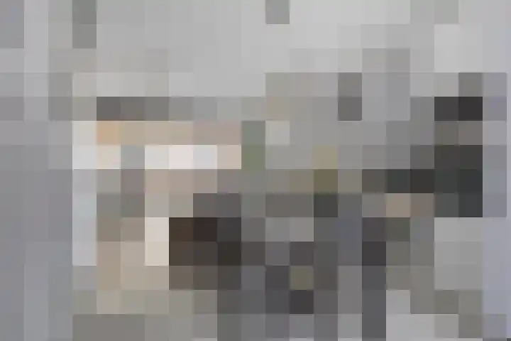 Kamelenspoor 281 Maarssen thumbnail 15