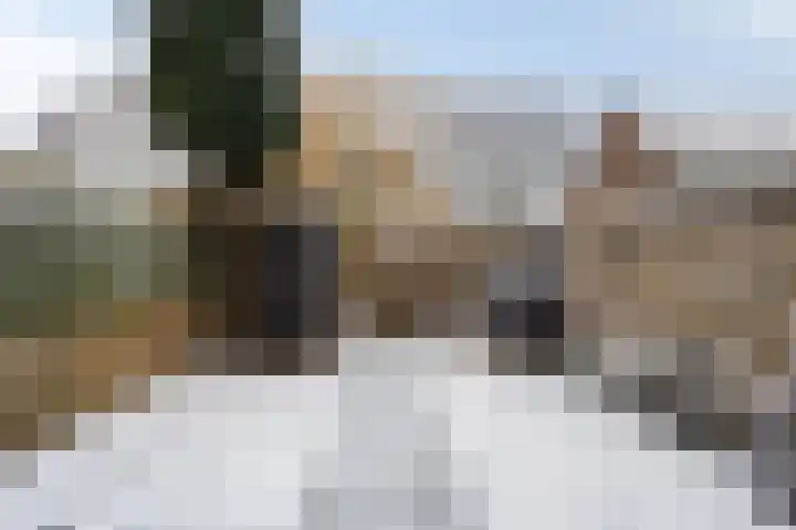 Kamelenspoor 281 Maarssen thumbnail 31