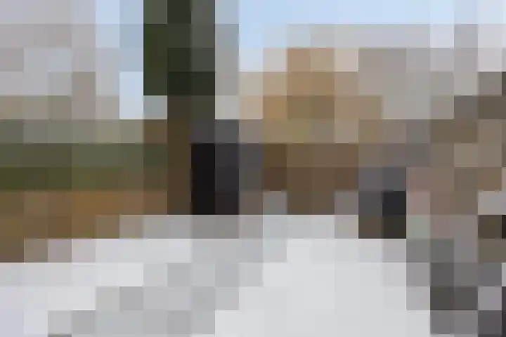 Kamelenspoor 281 Maarssen thumbnail 33