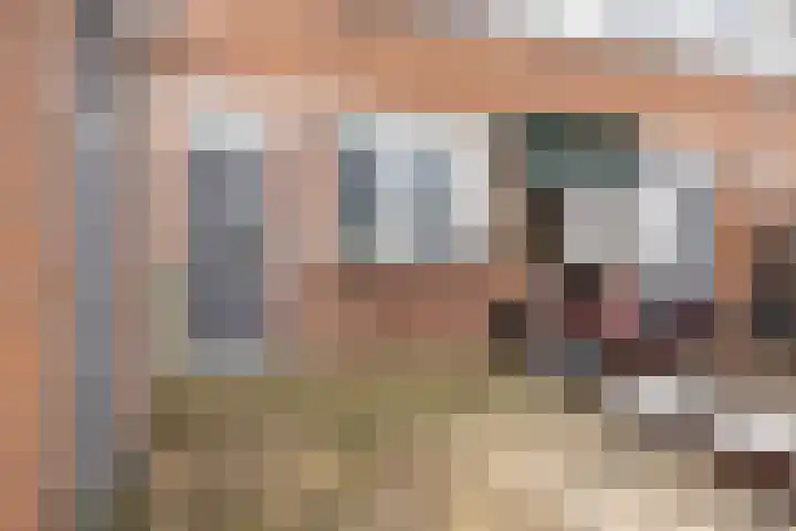 Kamelenspoor 281 Maarssen thumbnail 41