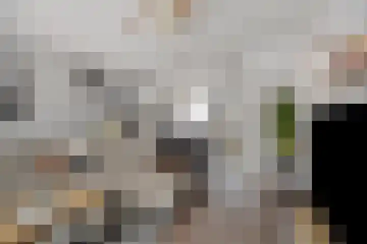 Kamelenspoor 281 Maarssen thumbnail 6
