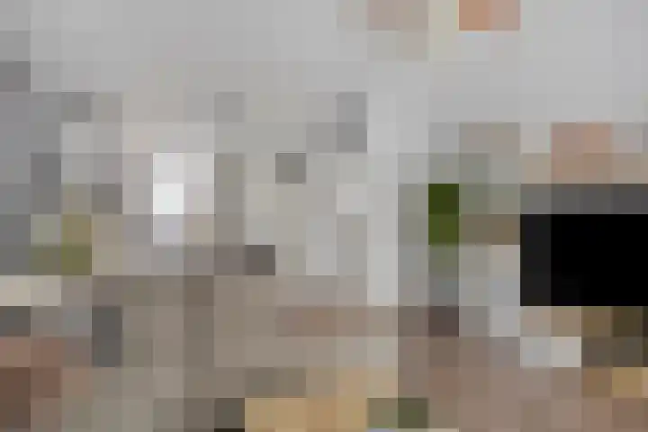 Kamelenspoor 281 Maarssen thumbnail 7