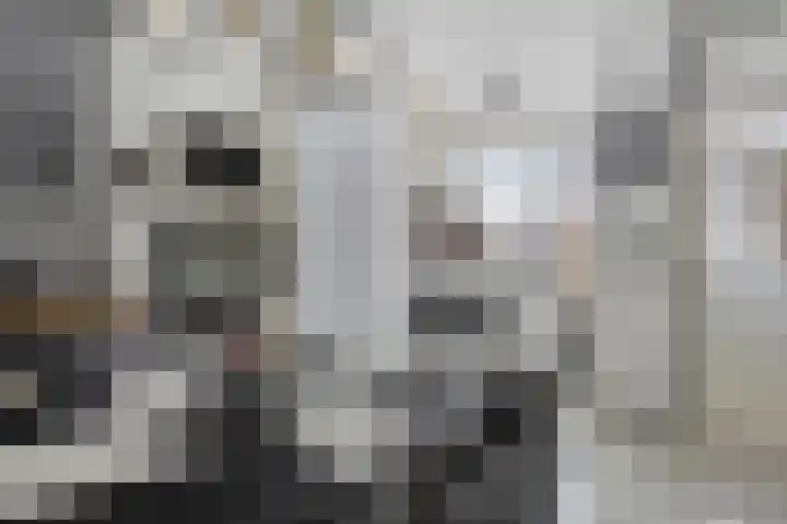 Kamelenspoor 281 Maarssen thumbnail 9