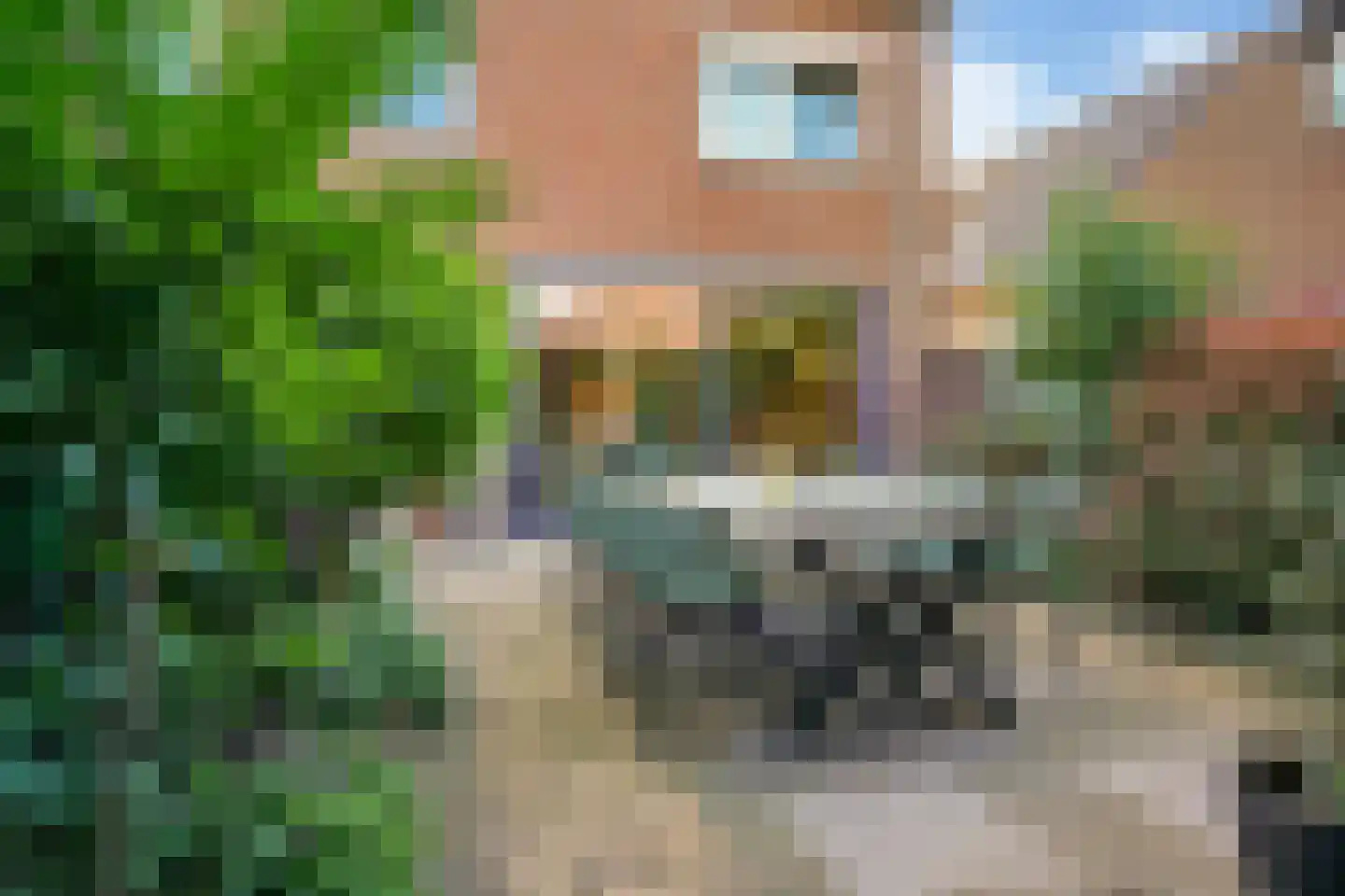 Kamelenspoor 334 Maarssen thumbnail 32