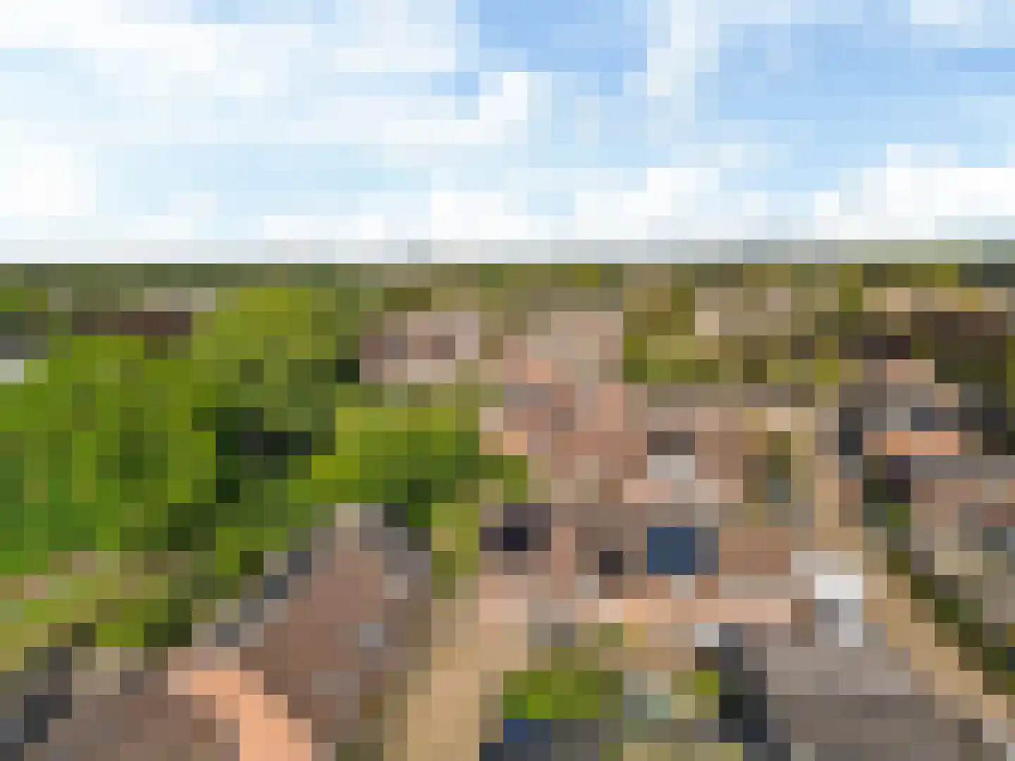 Kamelenspoor 334 Maarssen thumbnail 33