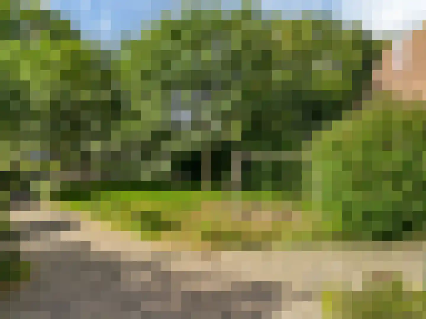 Kamelenspoor 334 Maarssen thumbnail 34