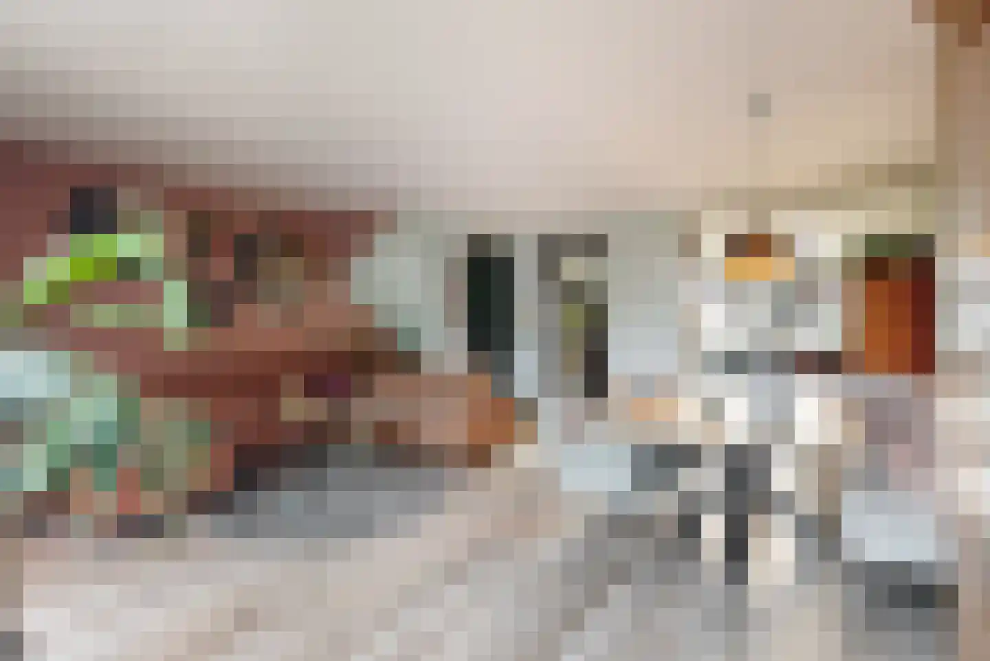 Kamelenspoor 334 Maarssen thumbnail 6