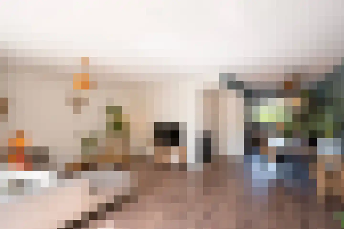 Kamelenspoor 344 Maarssen thumbnail 18