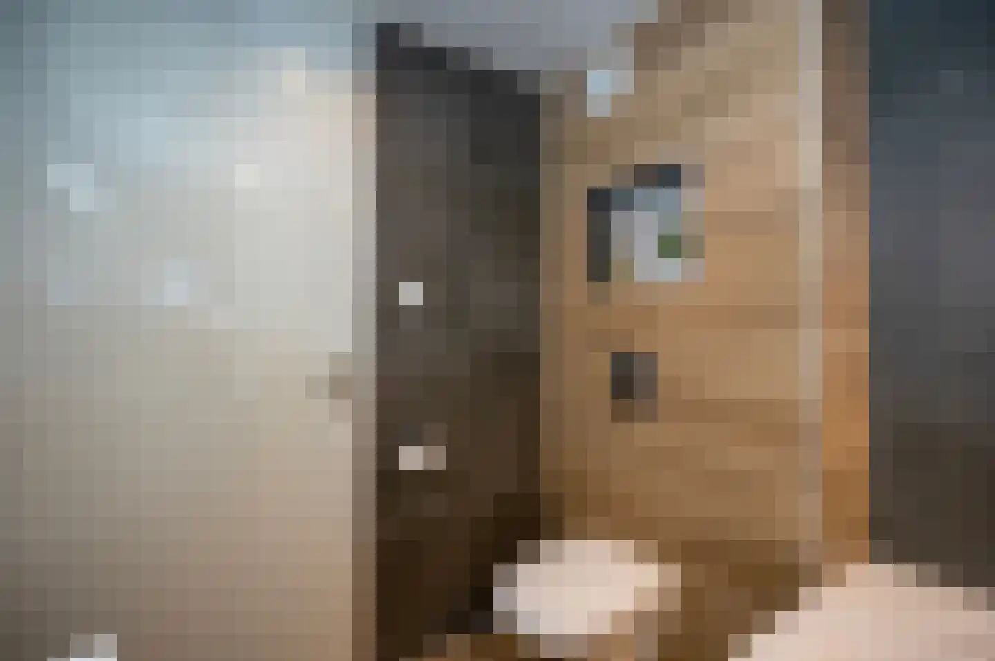 Kamelenspoor 344 Maarssen thumbnail 23