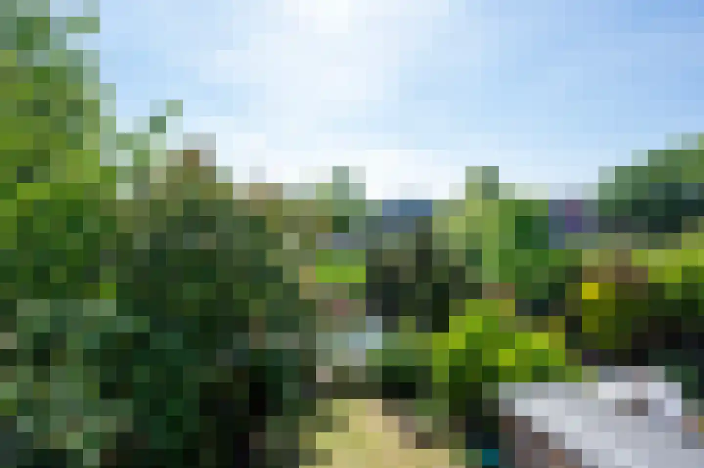 Kamelenspoor 344 Maarssen thumbnail 26