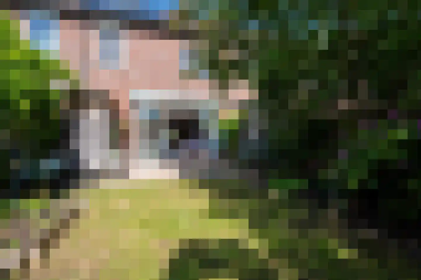Kamelenspoor 344 Maarssen thumbnail 35