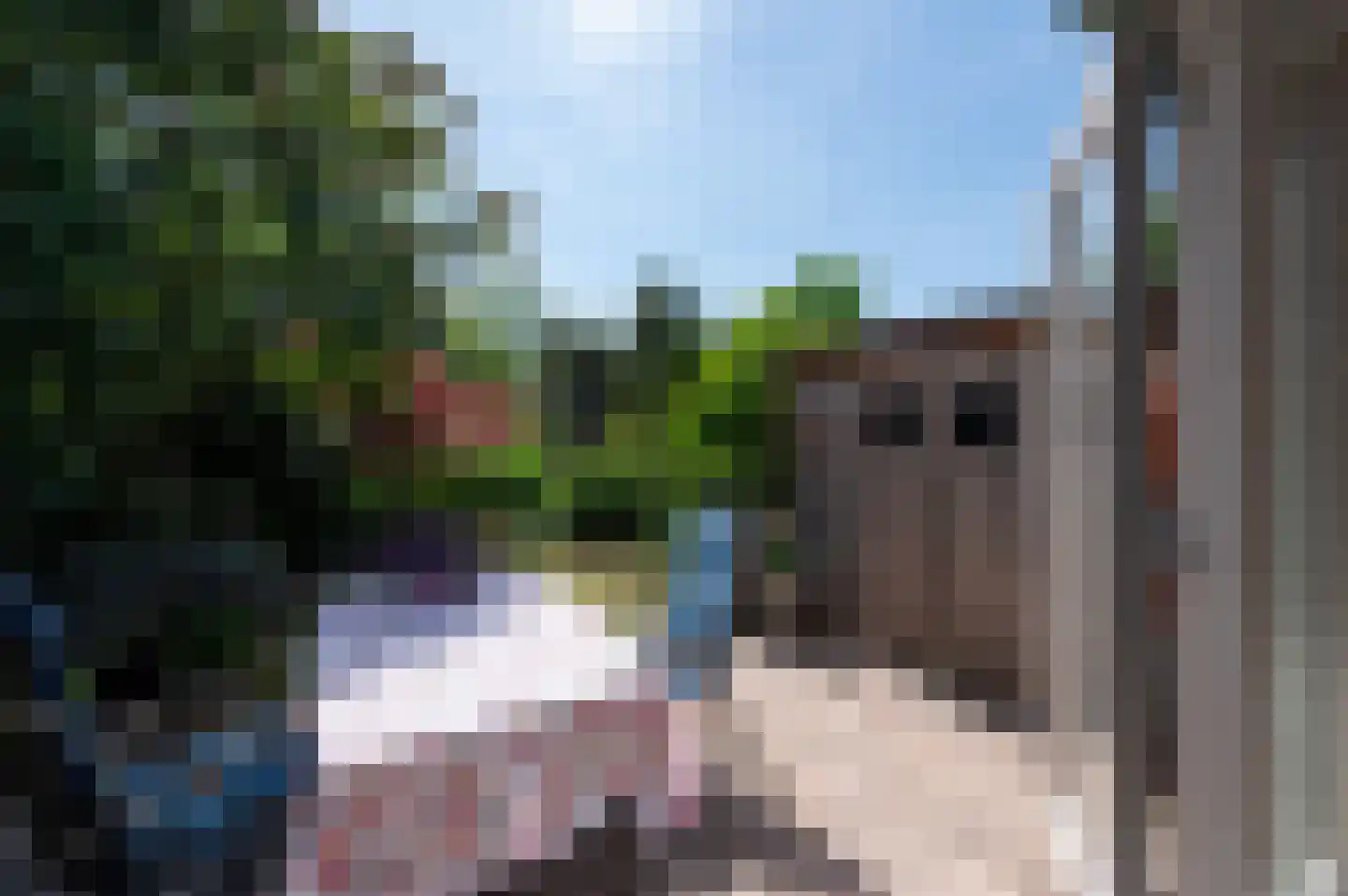 Kamelenspoor 344 Maarssen thumbnail 36