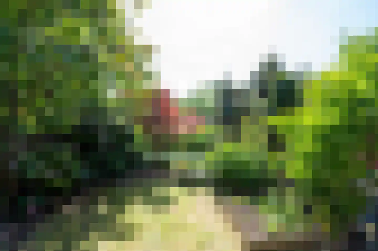 Kamelenspoor 344 Maarssen thumbnail 37