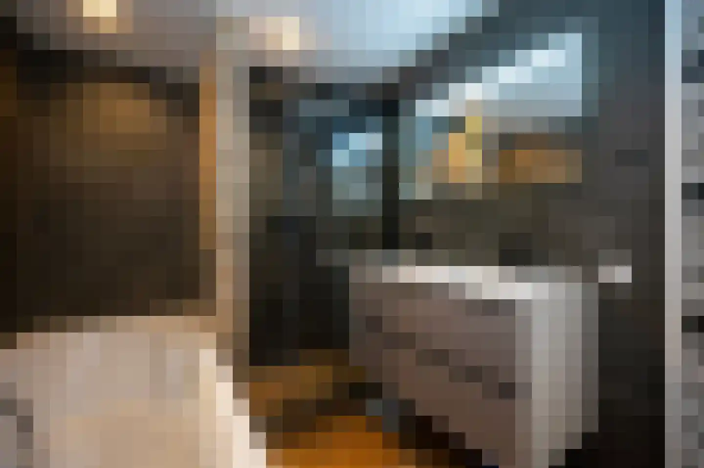 Kamelenspoor 344 Maarssen thumbnail 4