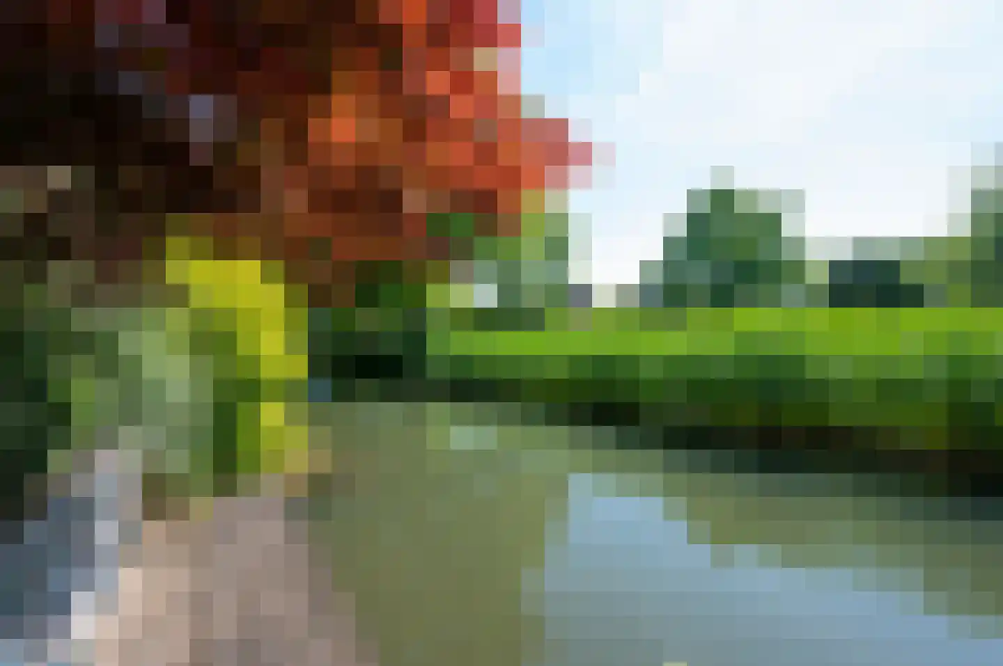 Kamelenspoor 344 Maarssen thumbnail 40