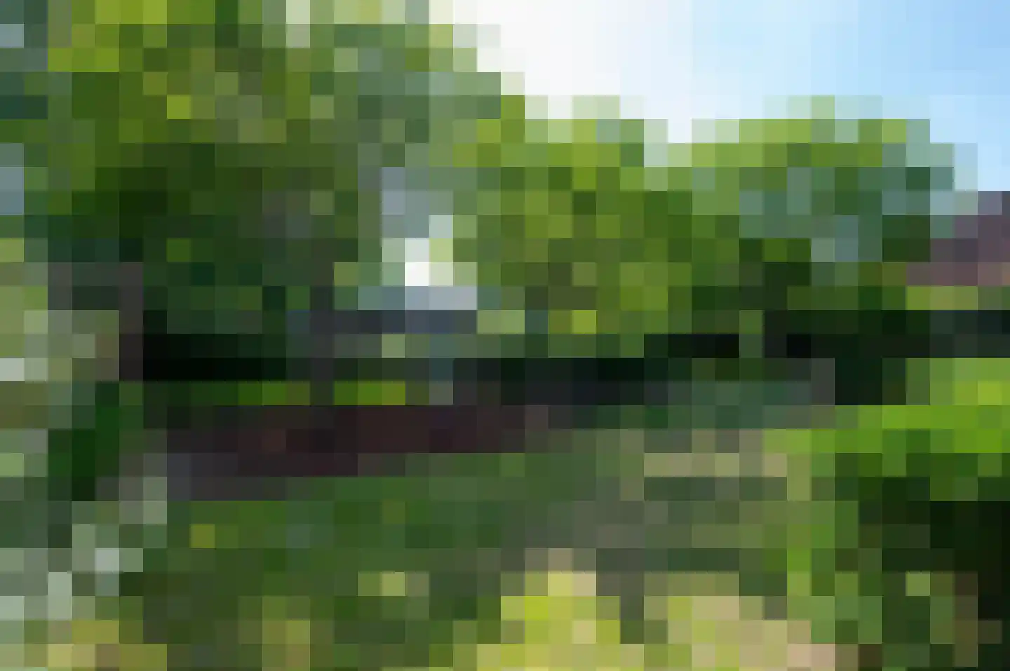 Kamelenspoor 344 Maarssen thumbnail 42
