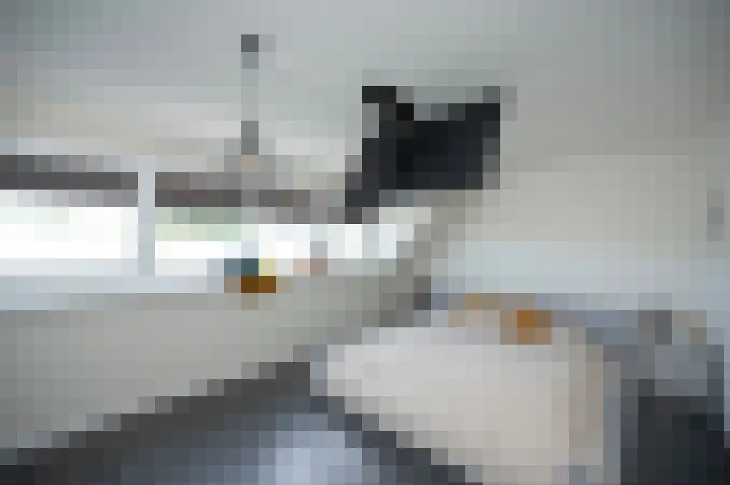 Kamelenspoor 363 Maarssen thumbnail 22