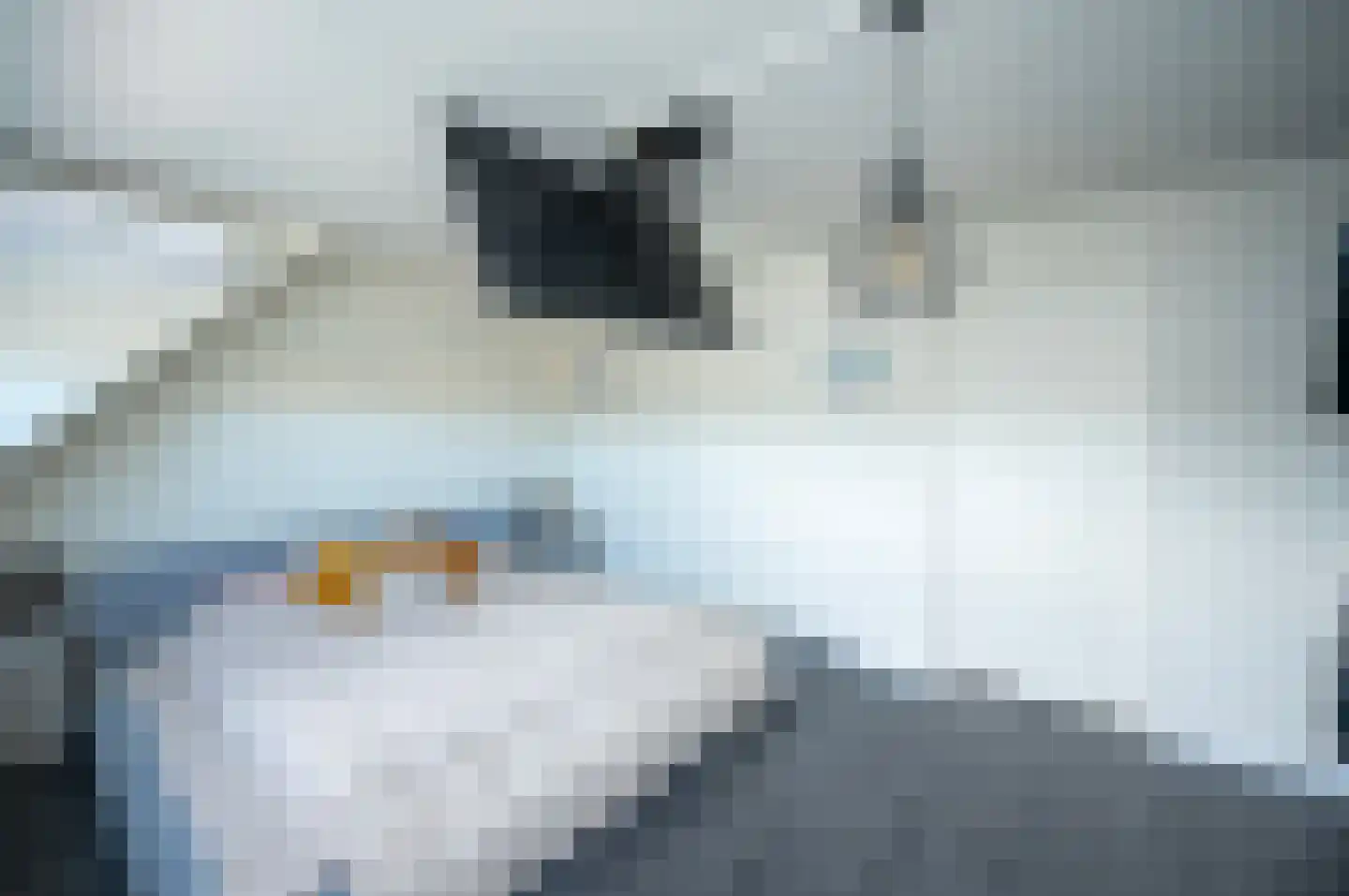 Kamelenspoor 363 Maarssen thumbnail 23