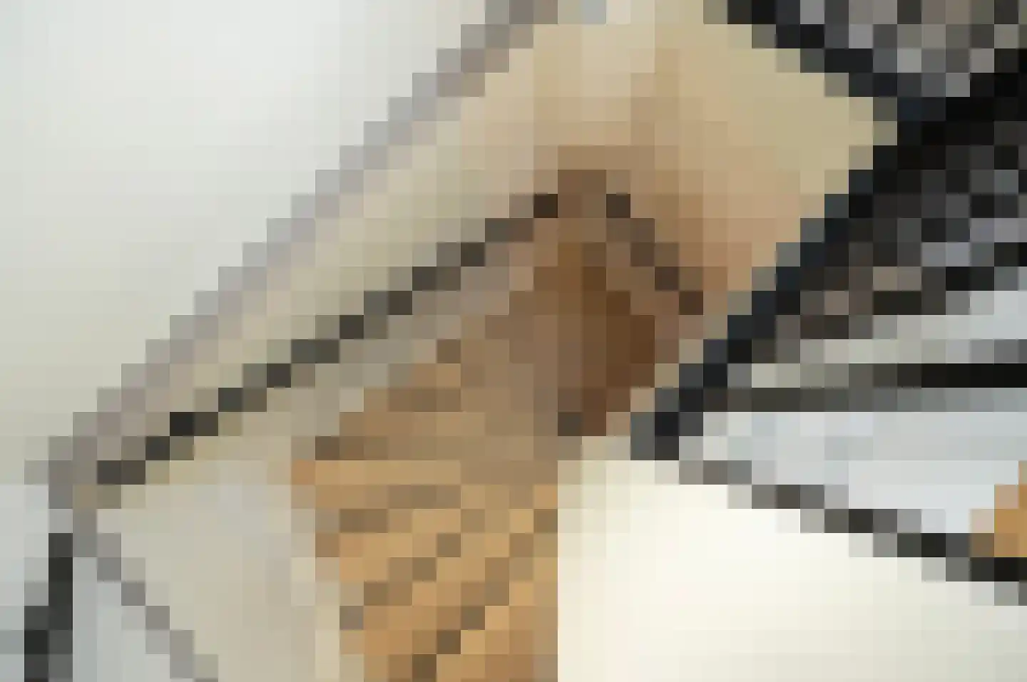 Kamelenspoor 363 Maarssen thumbnail 31