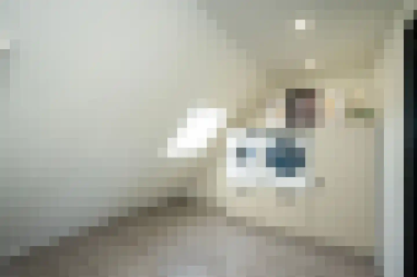 Kamelenspoor 363 Maarssen thumbnail 33