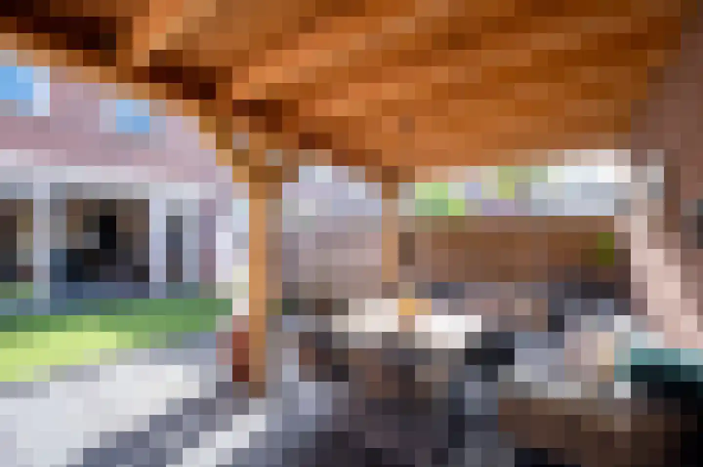 Kamelenspoor 363 Maarssen thumbnail 41