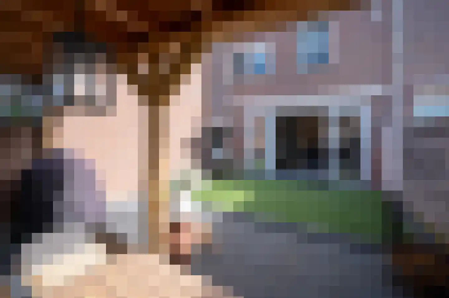 Kamelenspoor 363 Maarssen thumbnail 42