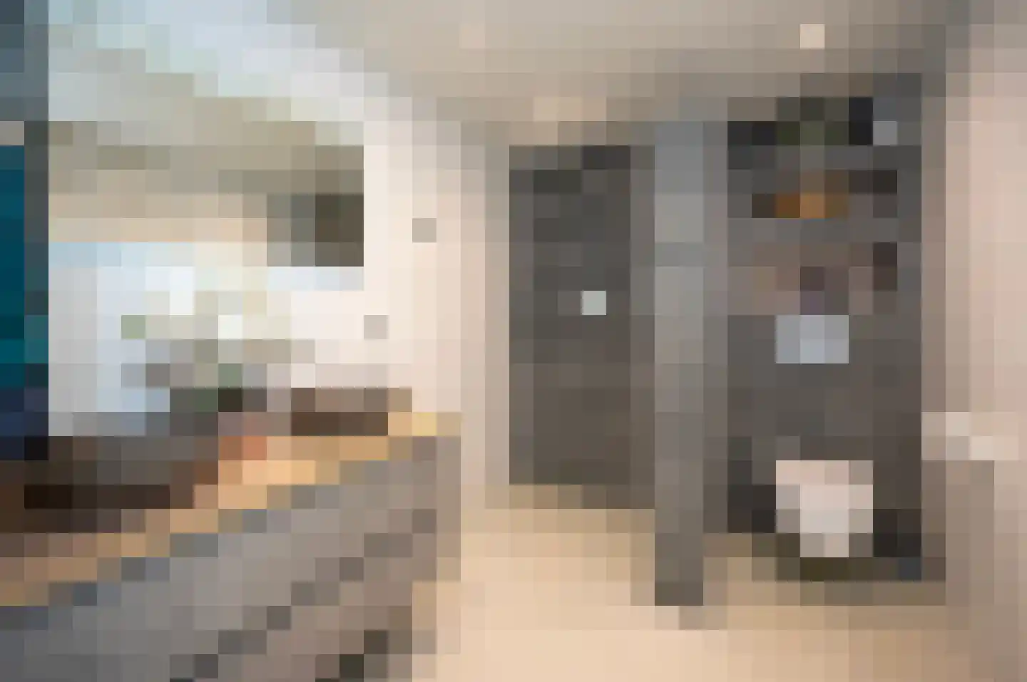 Kamelenspoor 363 Maarssen thumbnail 5