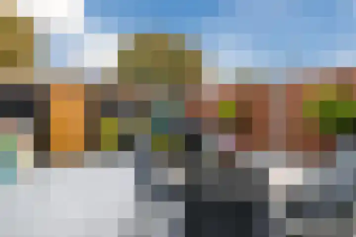 Kamelenspoor 371 Maarssen thumbnail 26