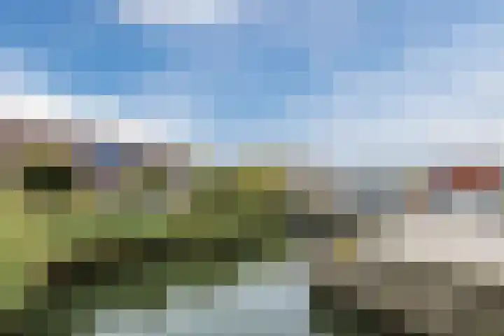 Kamelenspoor 371 Maarssen thumbnail 30