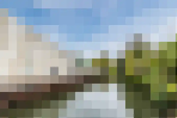 Kamelenspoor 371 Maarssen thumbnail 32