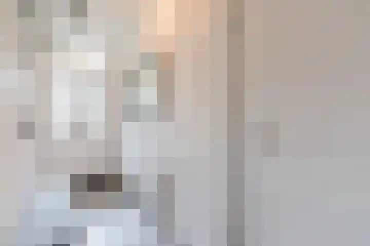 Kamelenspoor 371 Maarssen thumbnail 7