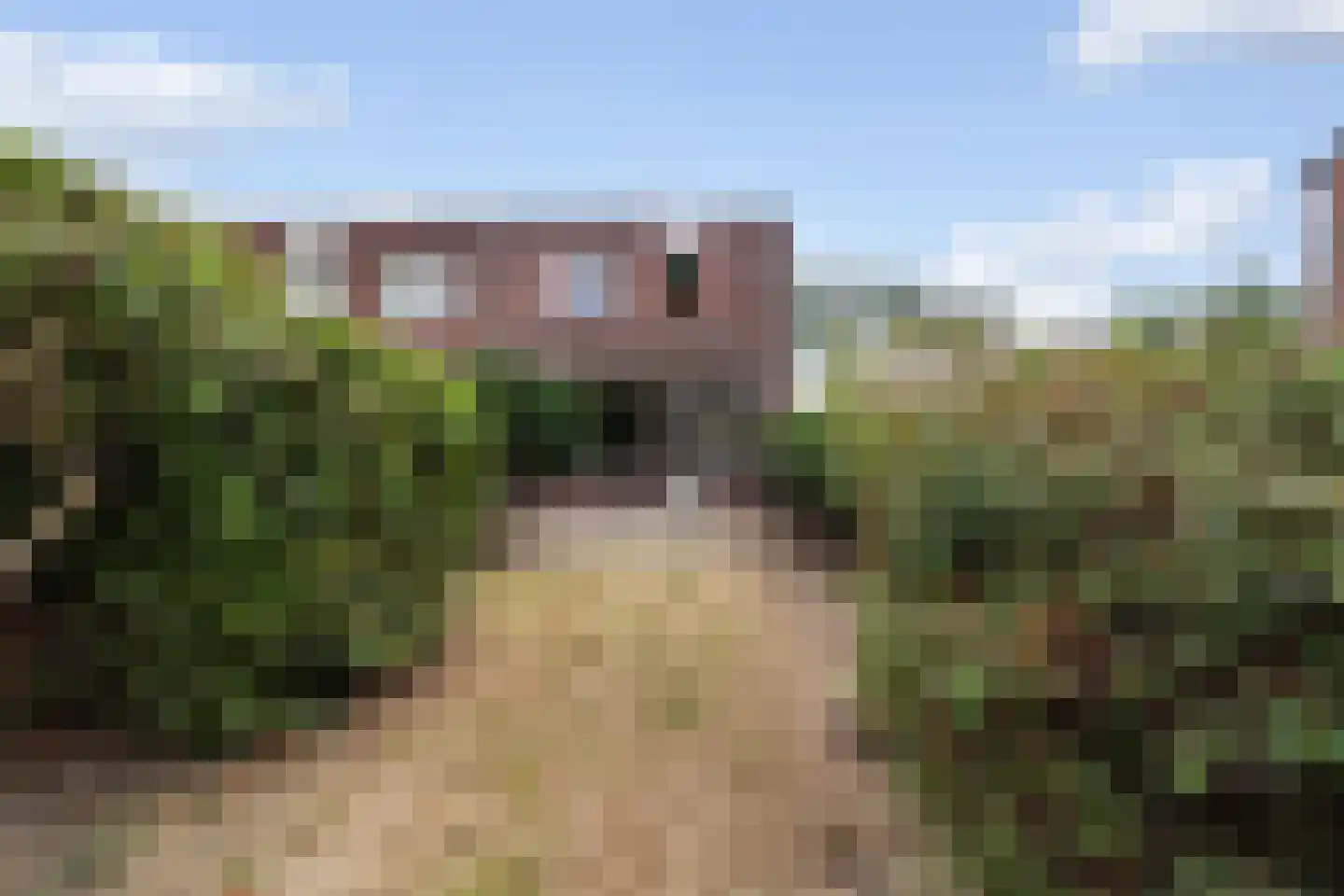 Kamelenspoor 381 Maarssen thumbnail 25