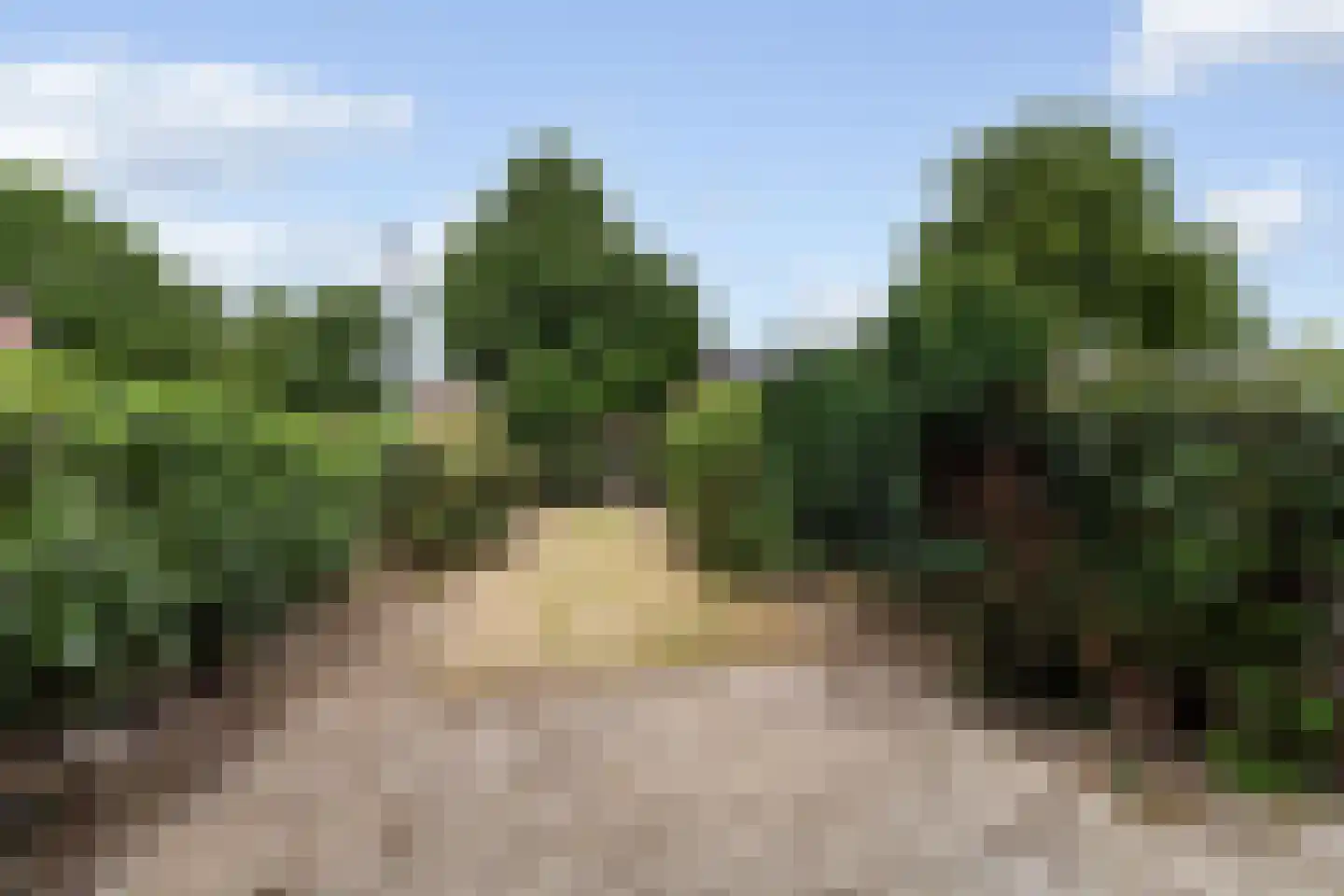 Kamelenspoor 381 Maarssen thumbnail 26