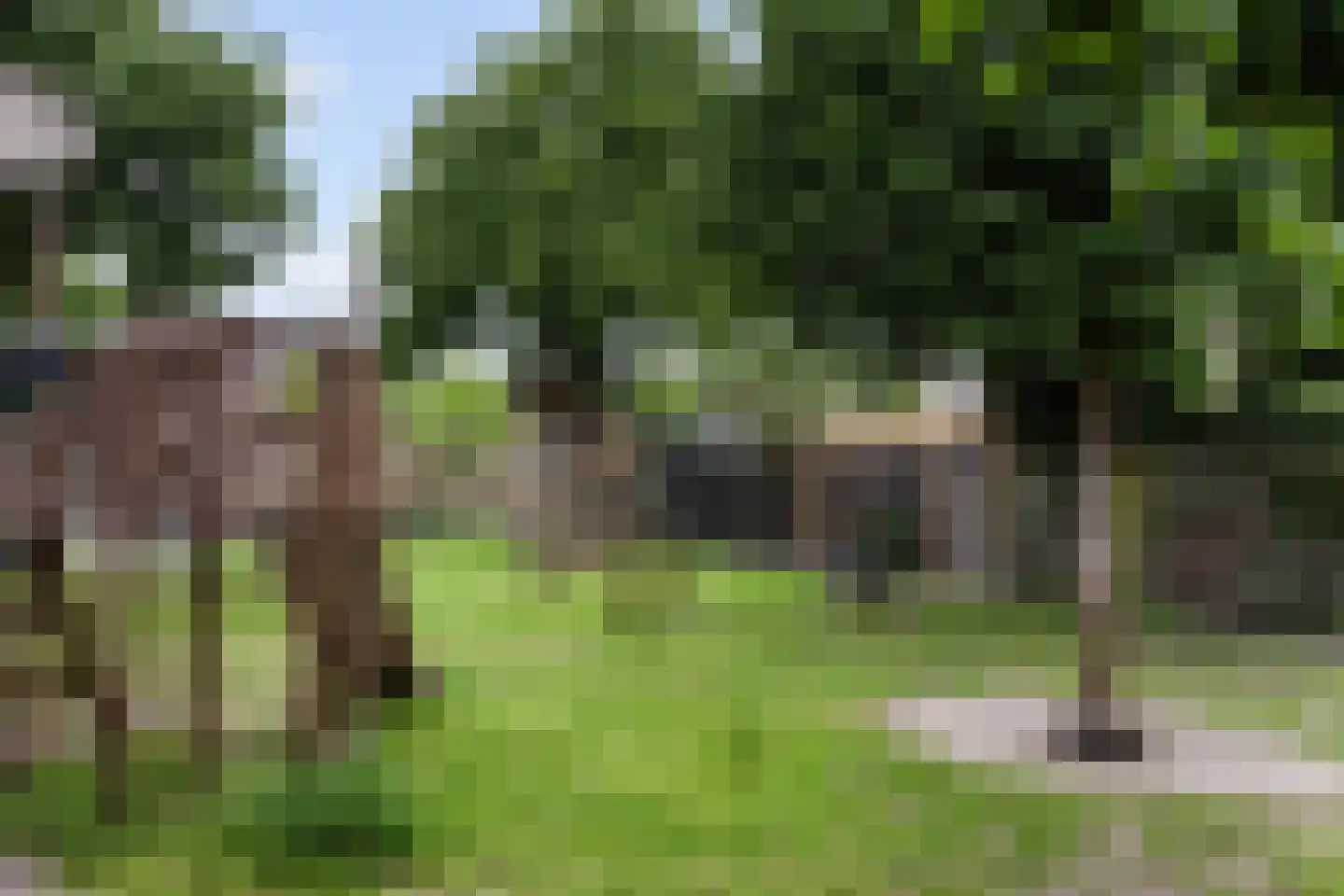 Kamelenspoor 381 Maarssen thumbnail 30
