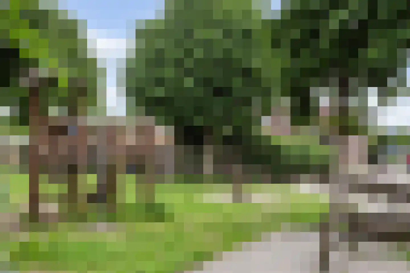 Kamelenspoor 381 Maarssen thumbnail 31
