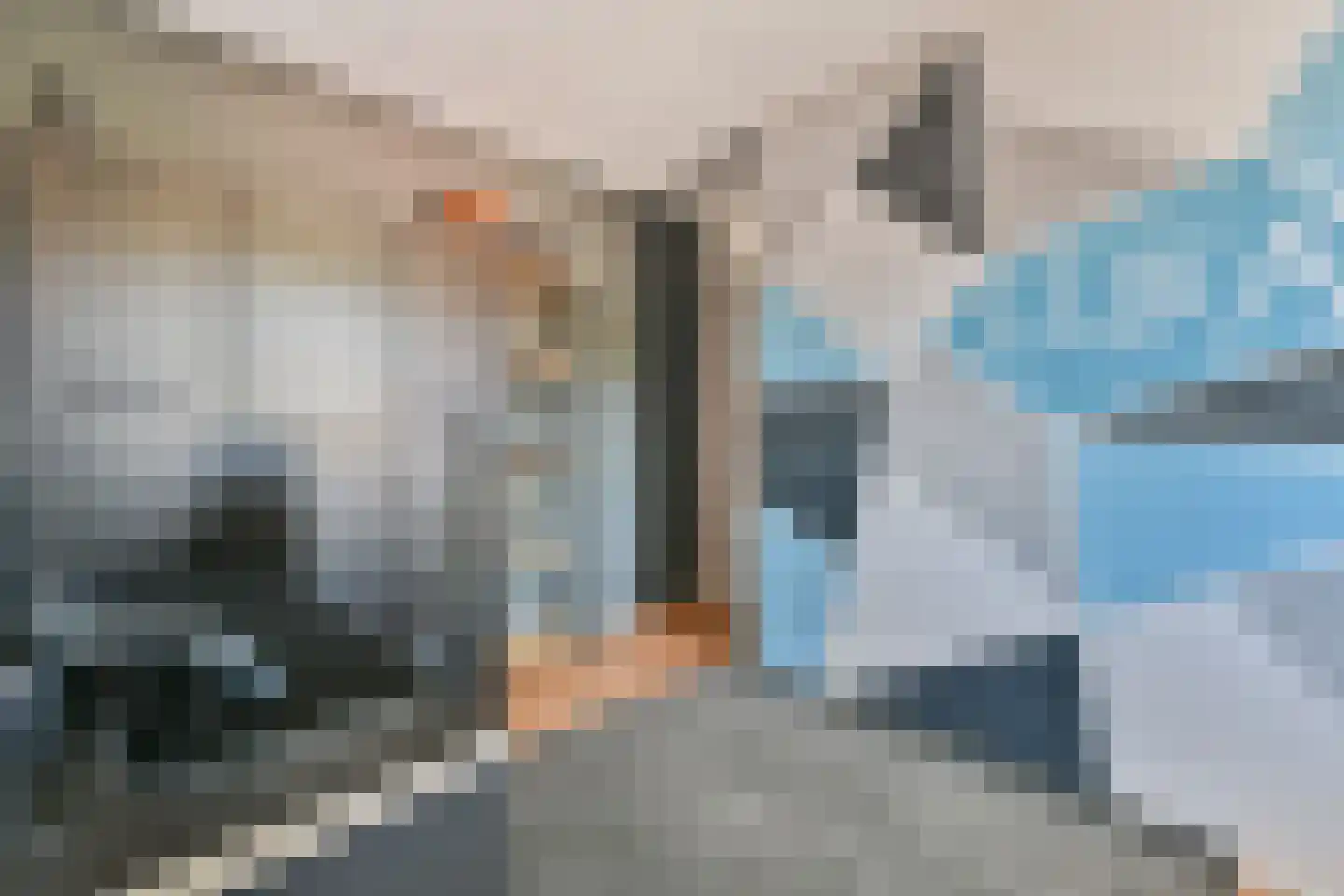 Kamelenspoor 409 Maarssen thumbnail 16