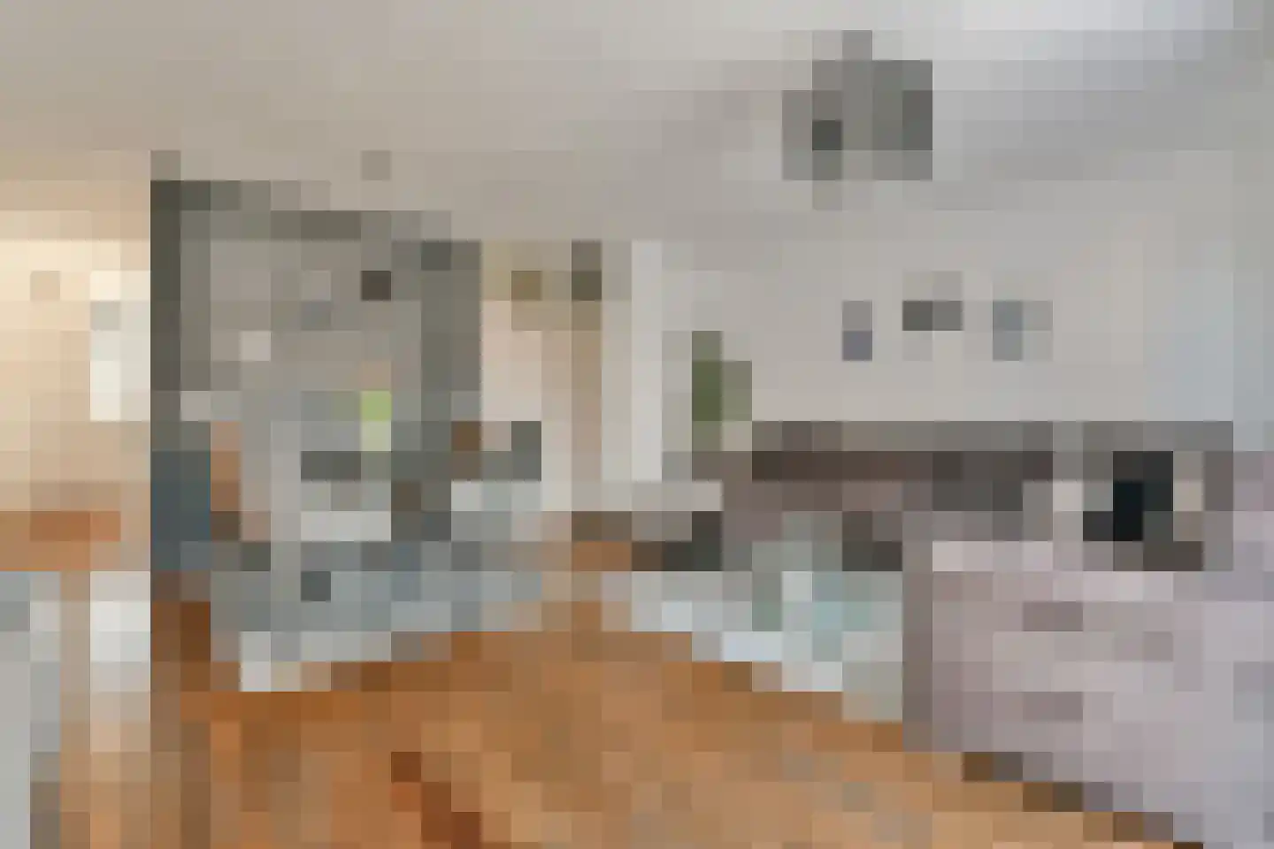 Kamelenspoor 409 Maarssen thumbnail 5