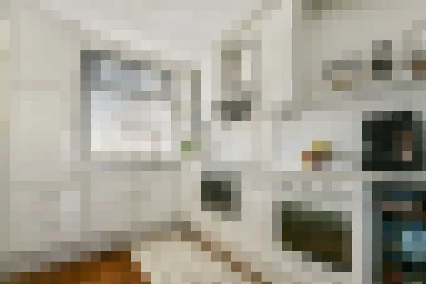 Kamelenspoor 409 Maarssen thumbnail 8