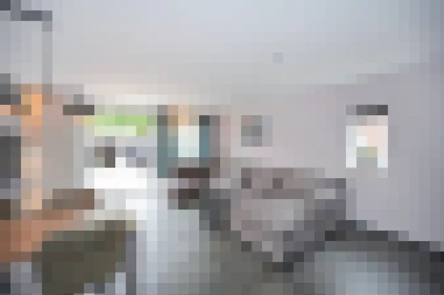 Kamelenspoor 476 Maarssen thumbnail 12