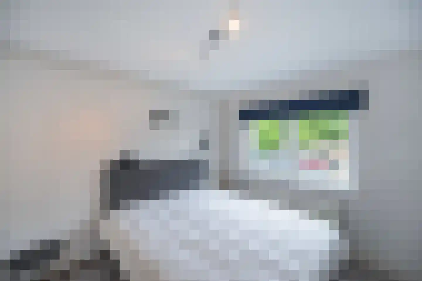 Kamelenspoor 476 Maarssen thumbnail 19