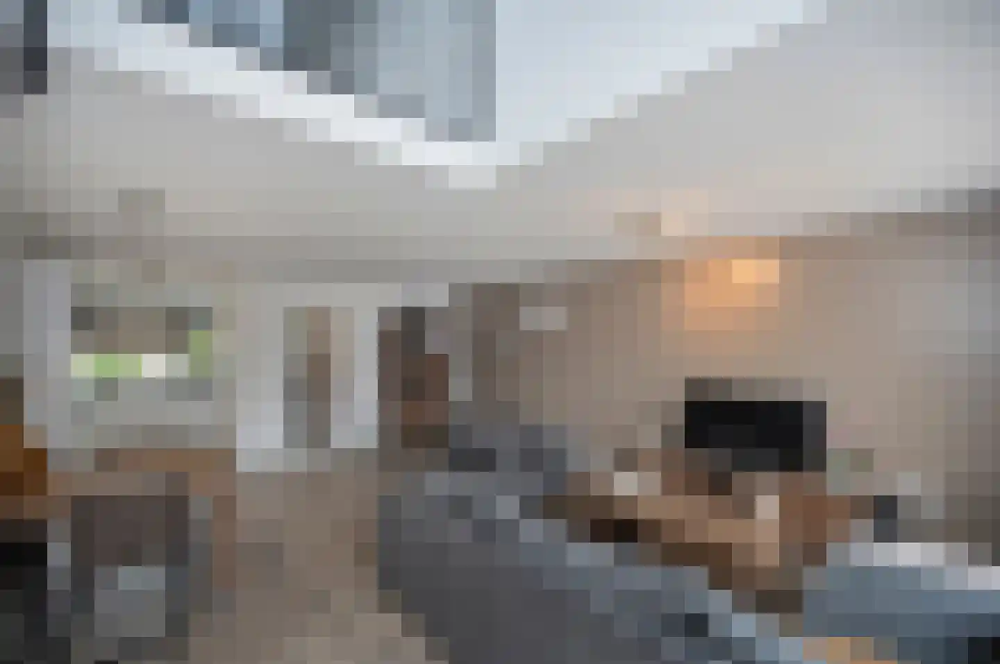 Kamelenspoor 48 Maarssen thumbnail 16
